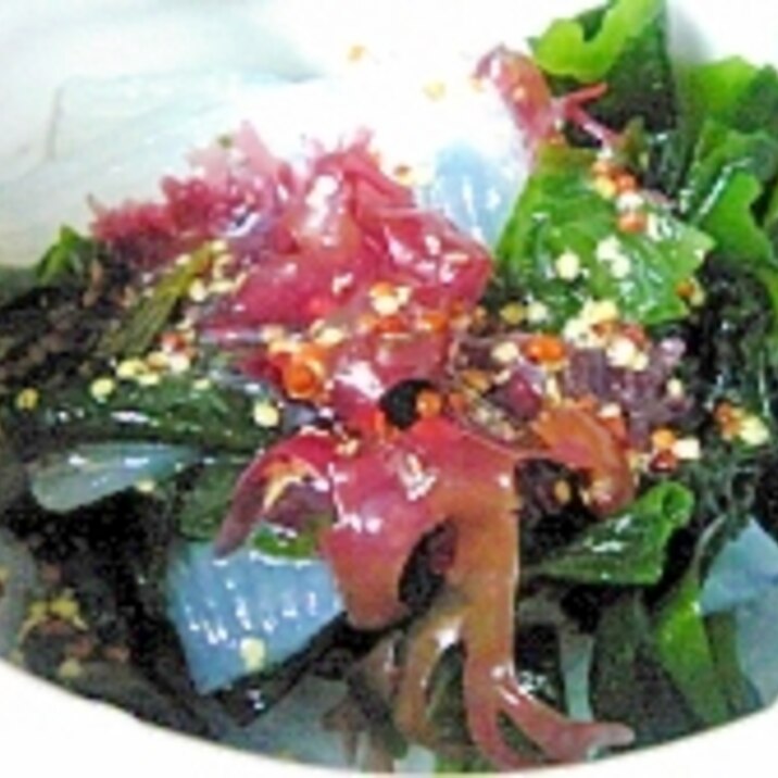 蒟蒻と海藻のサラダ